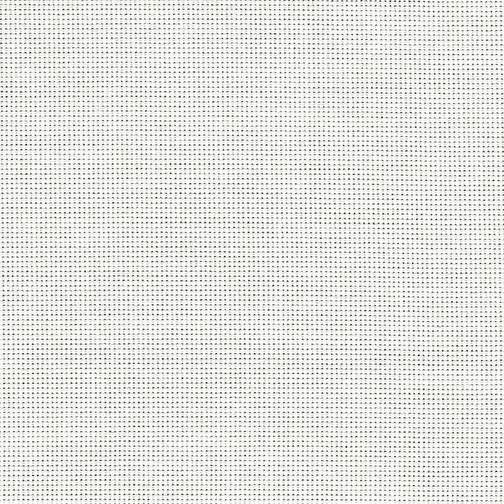 Zweigart 22 Count Hardanger offcut - Antique White (101) 55 x 32cm (59)