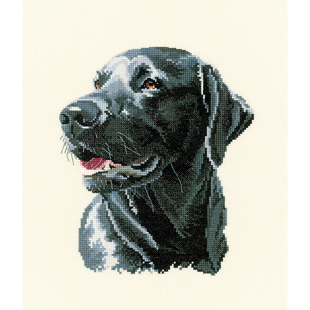 Chester, an Animal Portrait cross stitch chart - APCH859 (Digital Download)