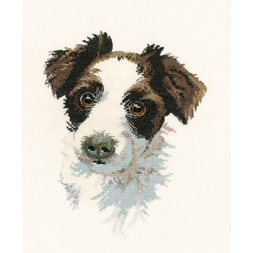 Scruff, an Animal Portrait cross stitch chart - APSC748 (Digital Download)
