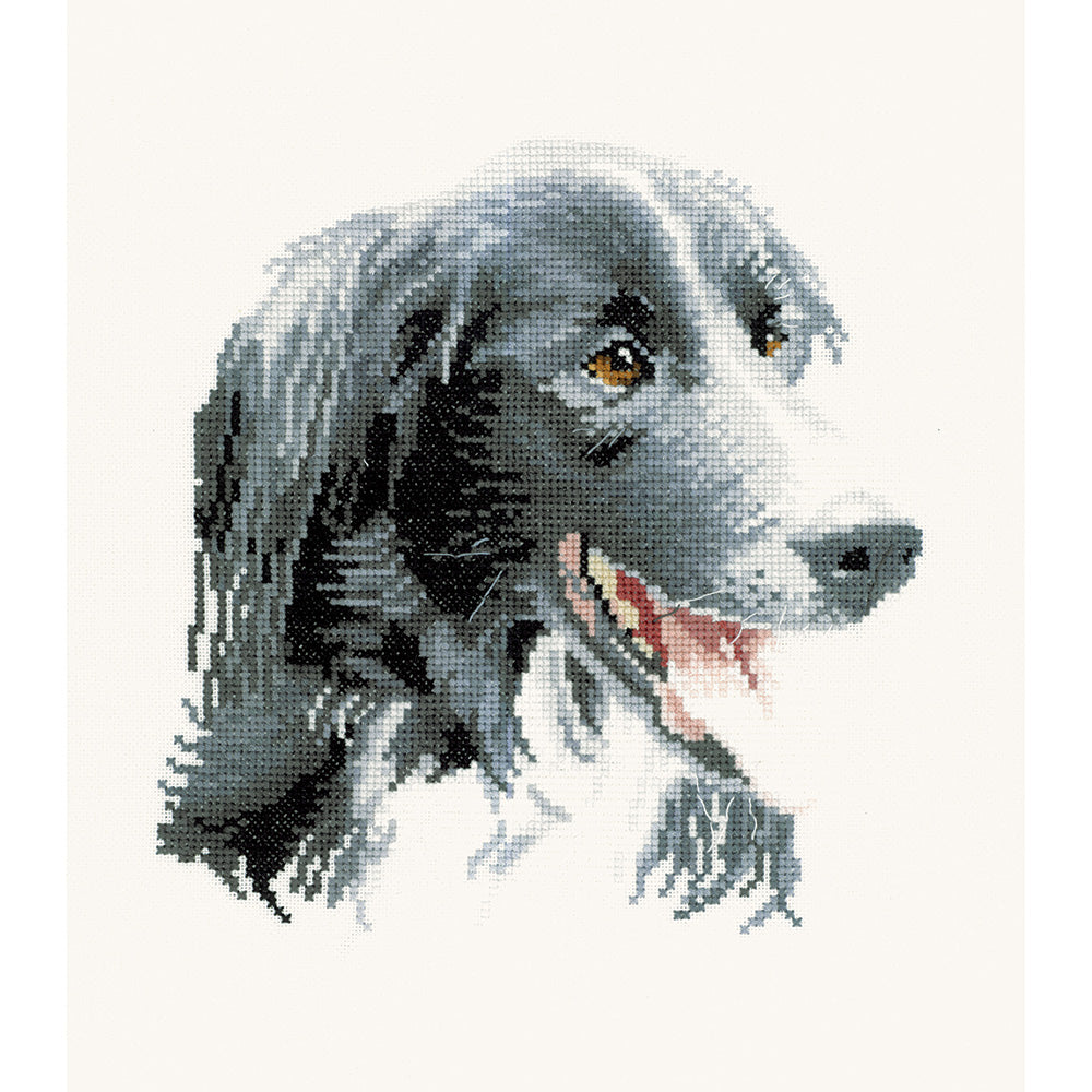 Todd, an Animal Portrait cross stitch chart - APTD827 (Digital Download)