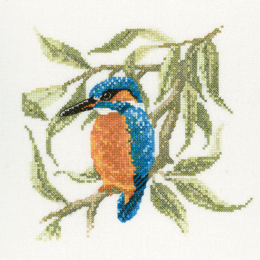 Kingfisher (David Merry) - DMKF374