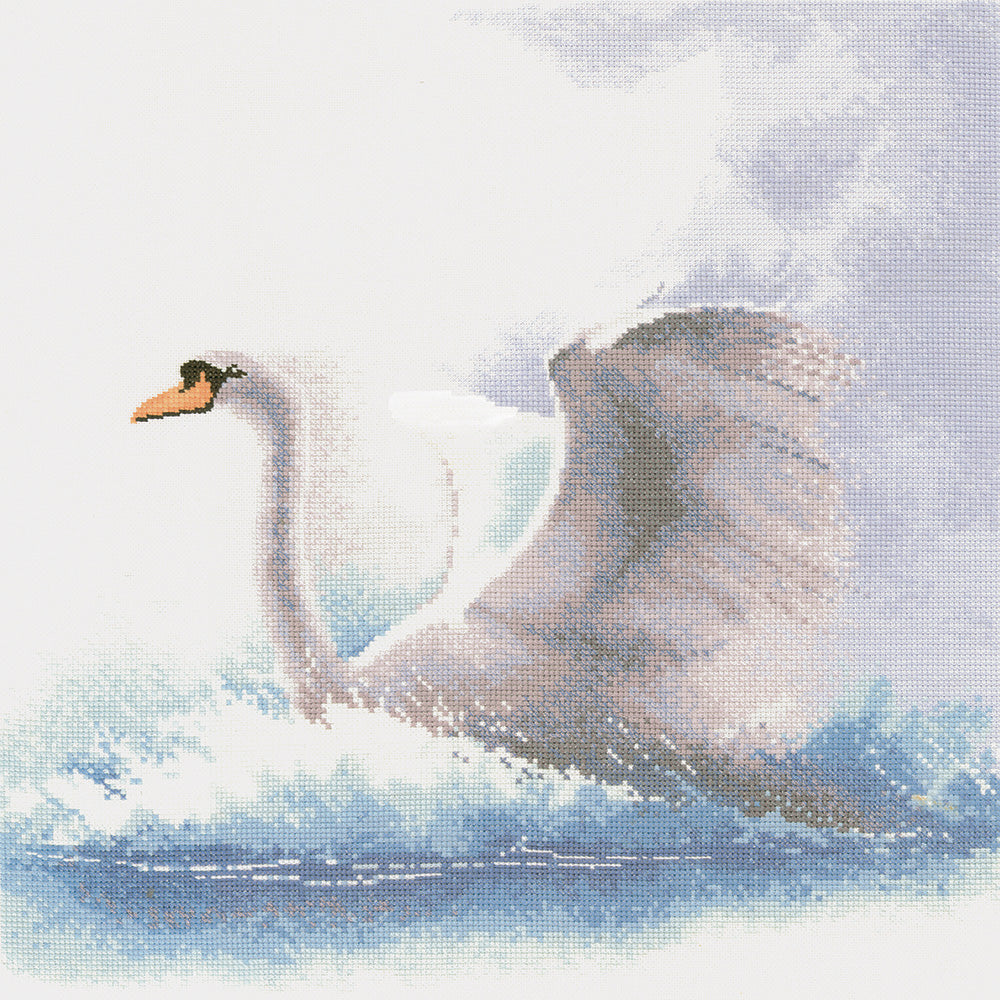 Swan in Flight by John Clayton - FFSF484 (Digital Download)
