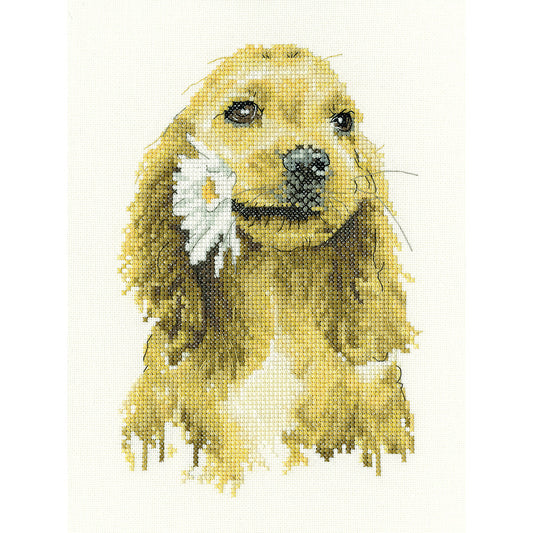Daisy Cocker Spaniel cross stitch kit - LCDA1896