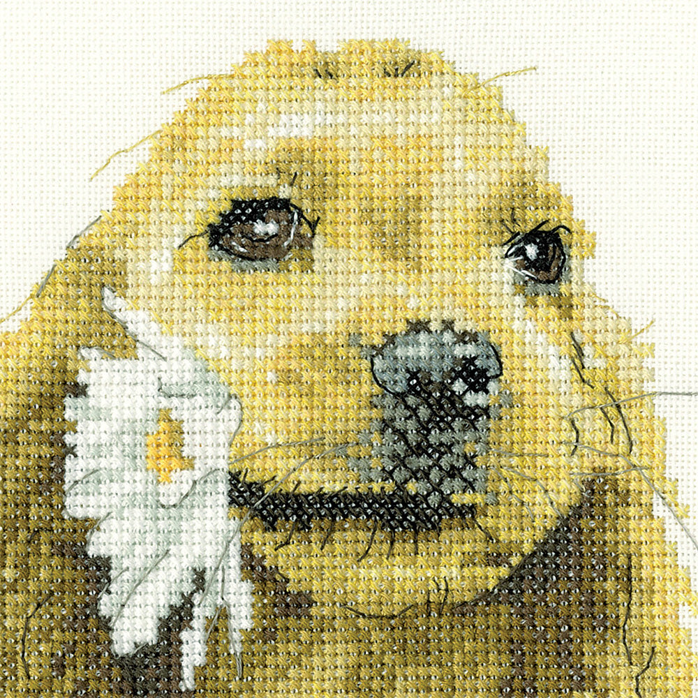 Daisy Cocker Spaniel cross stitch kit - LCDA1896