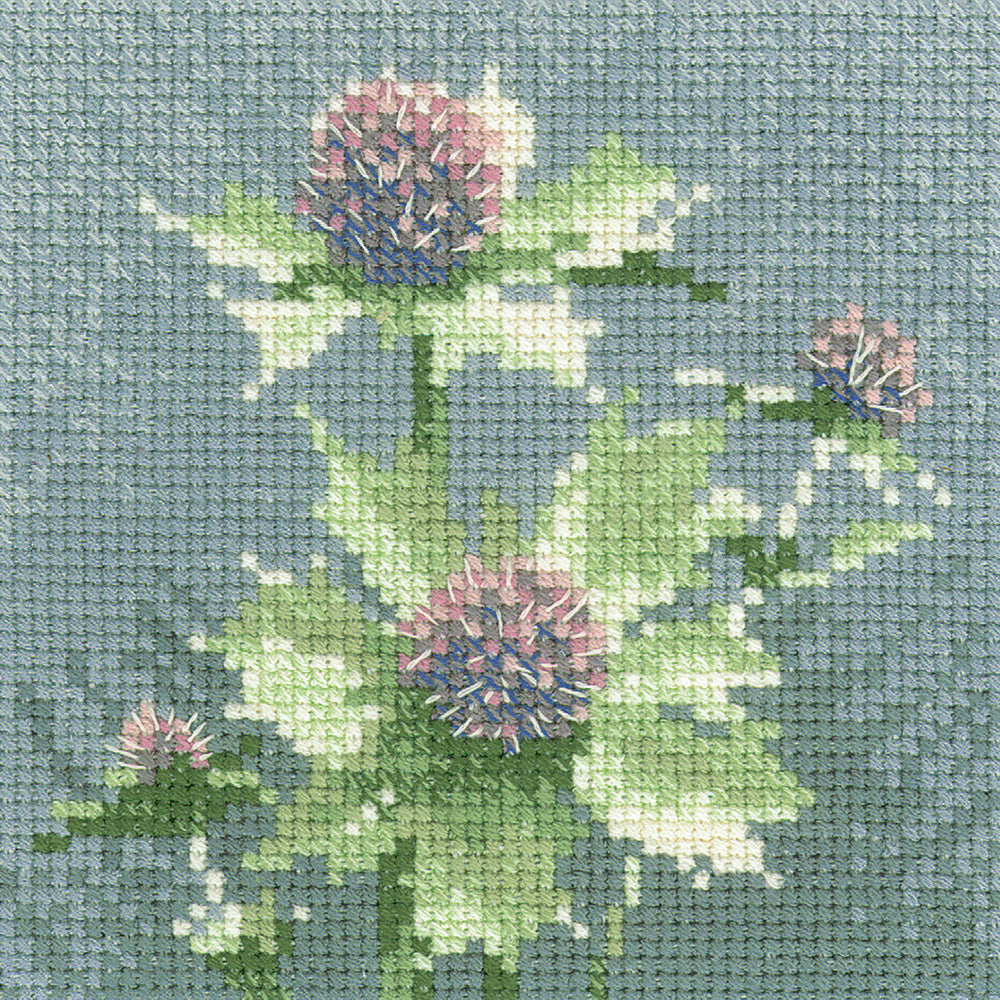 Mini Sea Holly cross stitch chart pack - SHSH498C