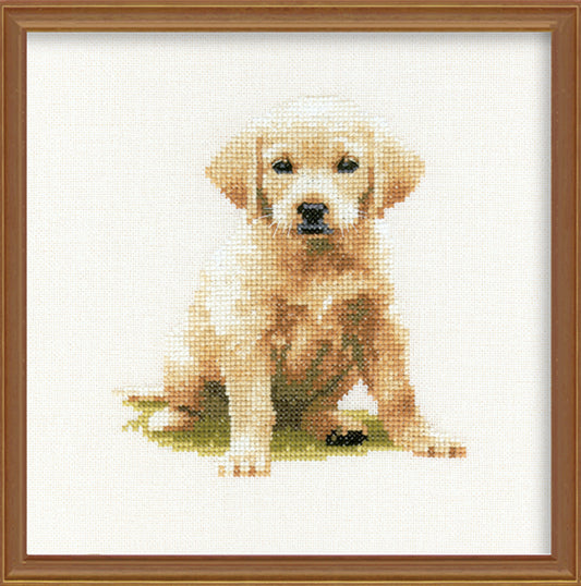 Labrador Puppy cross stitch kit - MOLP001 (D)