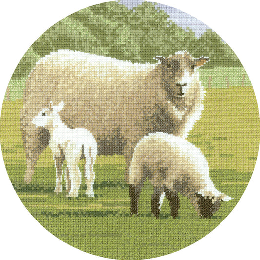 Woolly Jumpers cross stitch chart pack - AMWJ448C