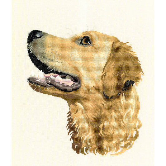 Gofa (Golden Retriever) cross stitch chart pack - APGO826C