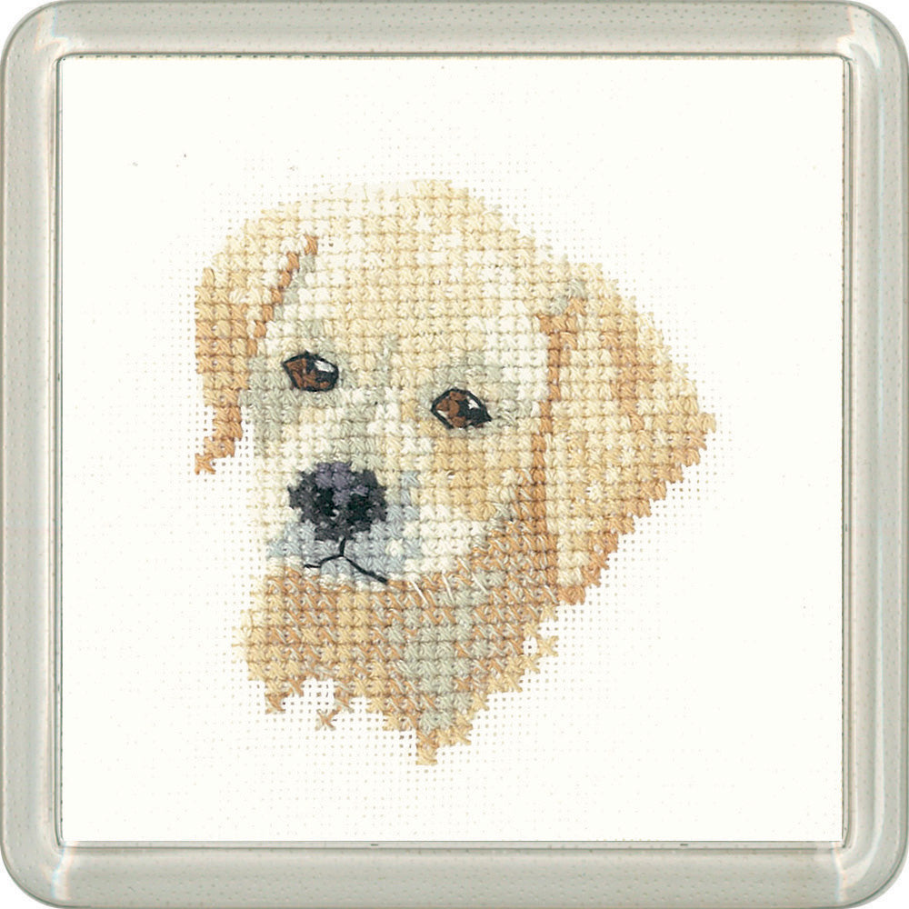 Little Friends Golden Labrador Coaster cross stitch kit - GFGL1447