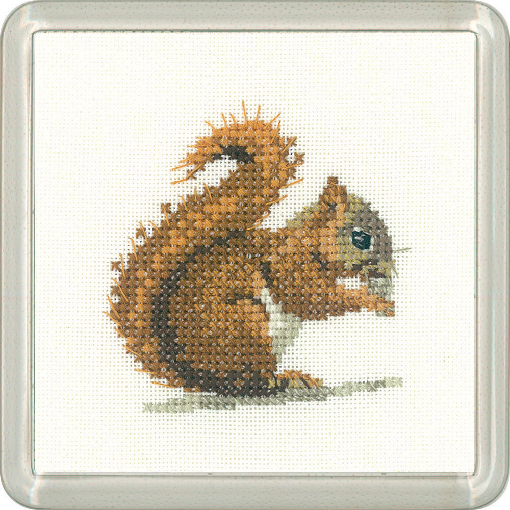 Little Friends Red Squirrel coaster cross stitch kit - CFRS1450