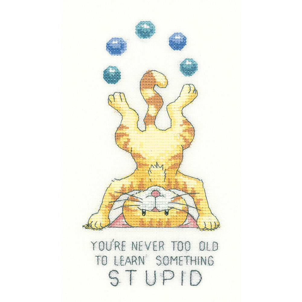 Never Too Old cross stitch chart pack - CRNT1202C