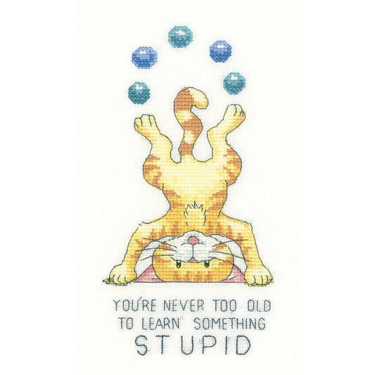 Never Too Old cross stitch chart pack - CRNT1202C