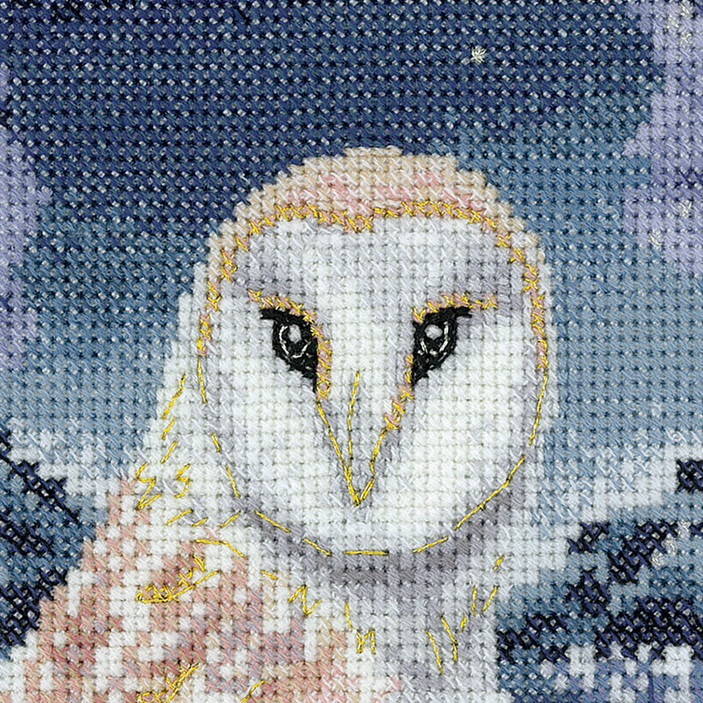 Into the Night cross stitch kit - ESIN1670