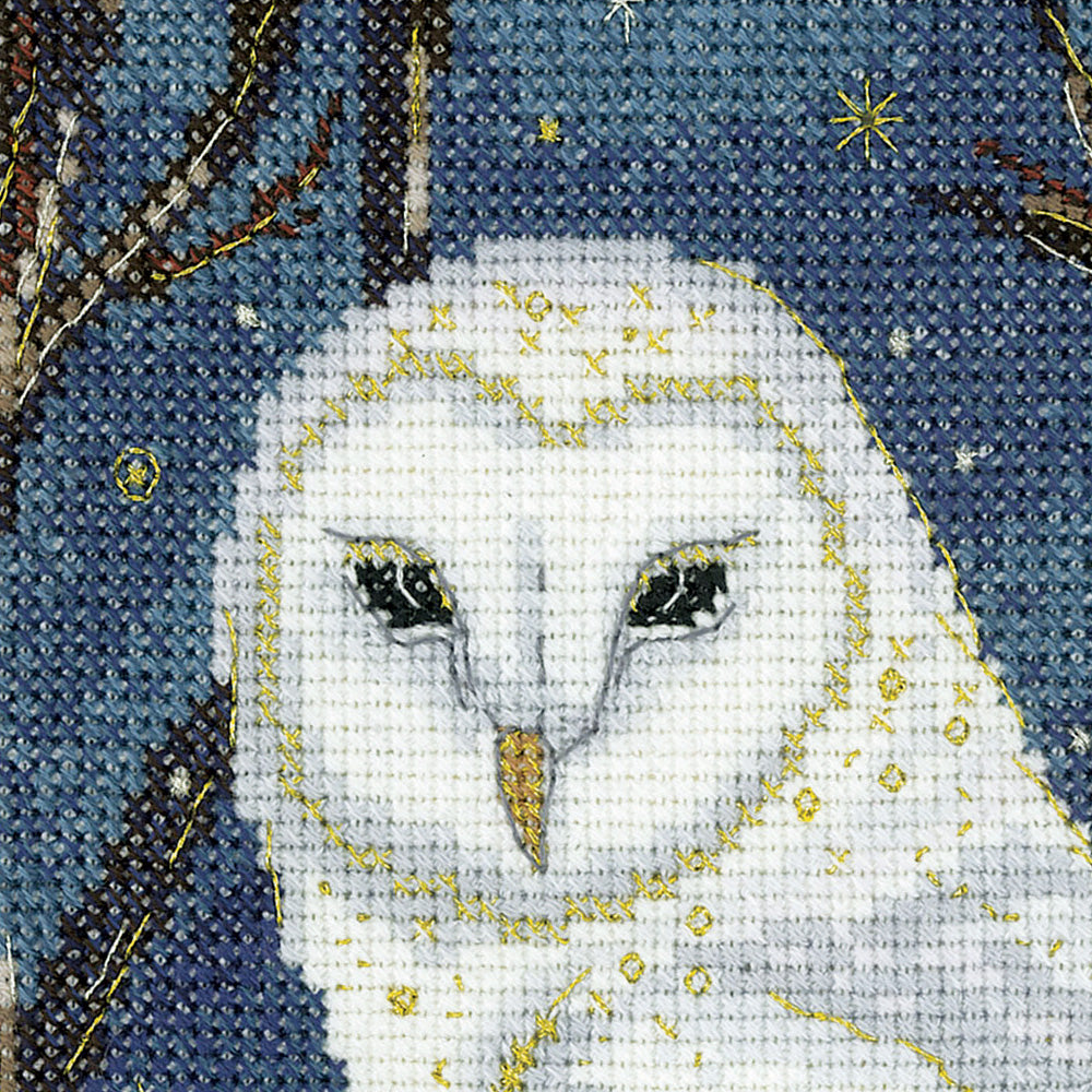 Spirit Guide cross stitch kit - ESSG1677