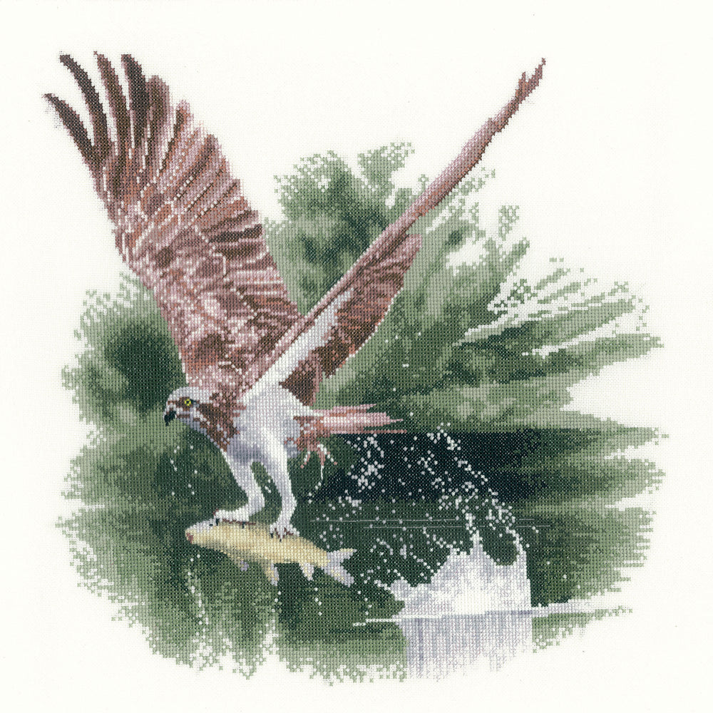 Osprey in Flight cross stitch chart pack - FFOS1083C