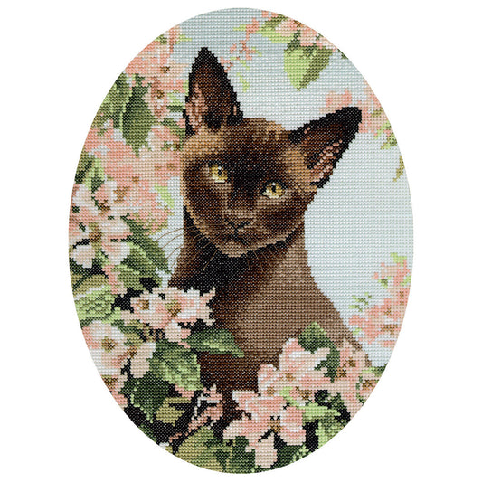 Burmese Cat cross stitch chart pack - JSBC304C