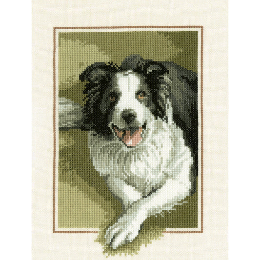 Border Collie cross stitch kit - JSBD418 (D)