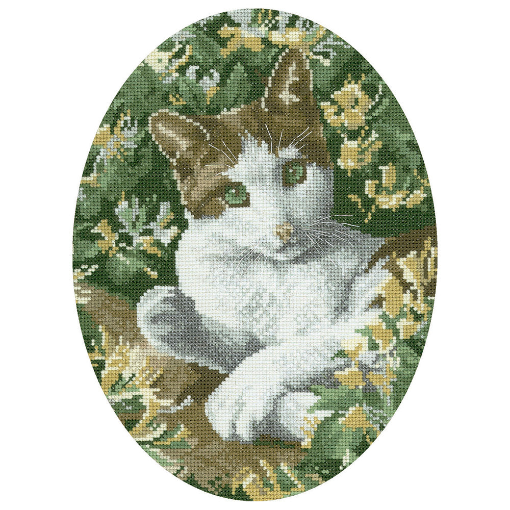 Brown and White Cat cross stitch chart pack - JSBN345C