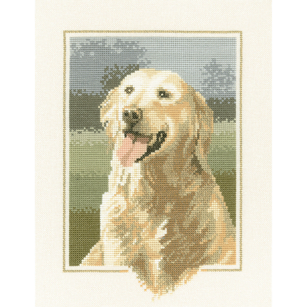 Golden Retriever cross stitch chart pack - JSGR419C