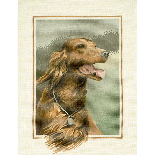 Red Setter cross stitch chart pack - JSRD416C