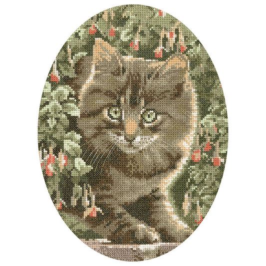 Tabby Kitten (John Stubbs) cross stitch chart pack - JSTK303C