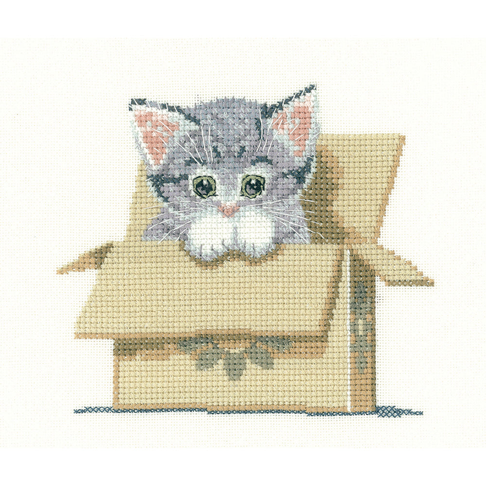 Cat in Box cross stitch chart pack - LDCB1249C