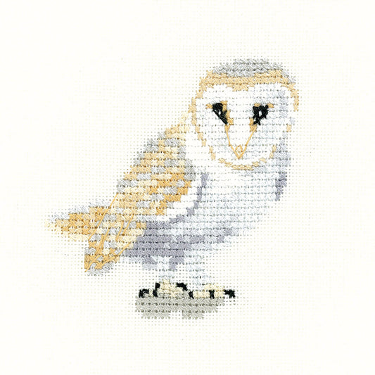 Little Friends Barn Owl cross stitch kit - LFBO1482