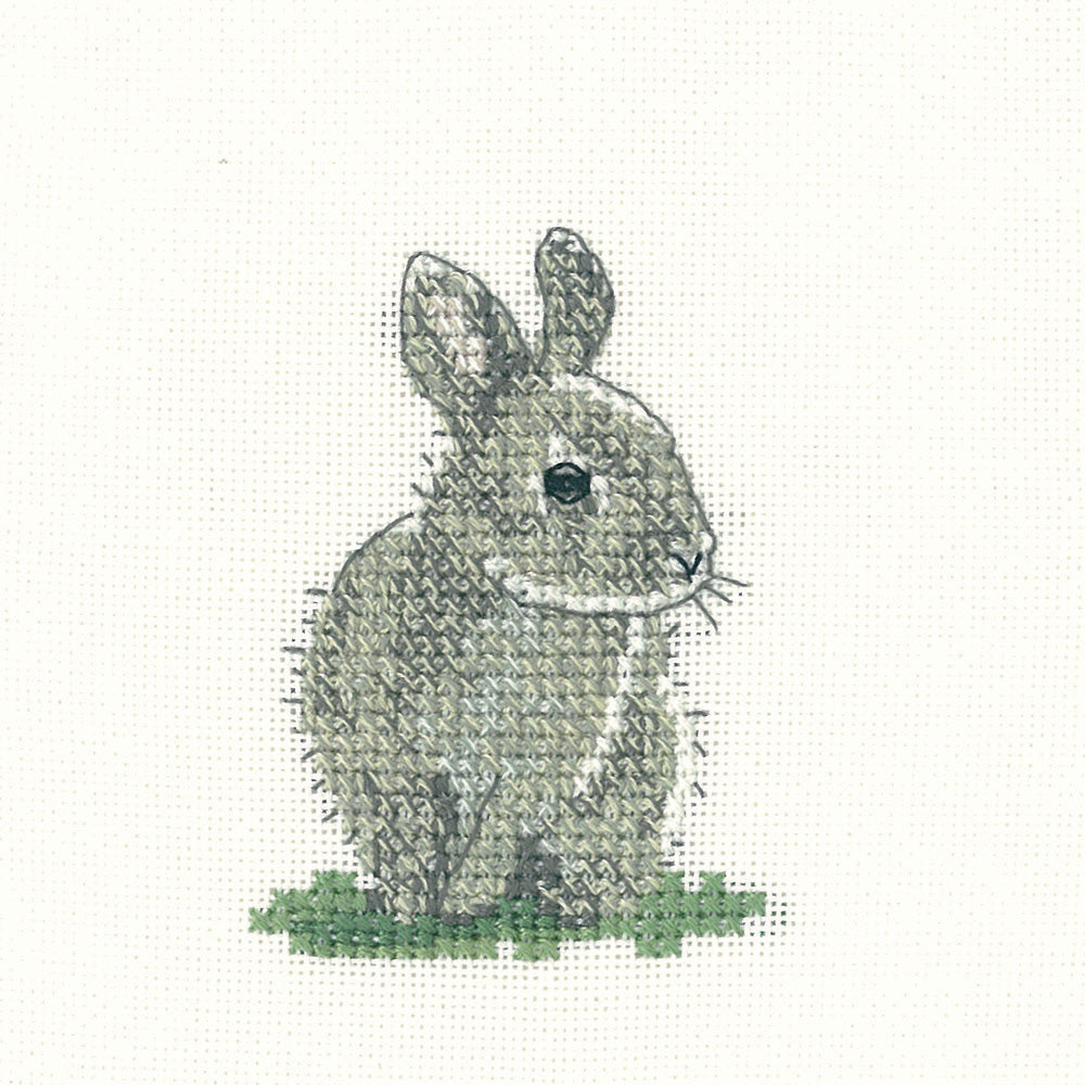 Little Friends Baby Rabbit cross stitch kit - LFBR1077