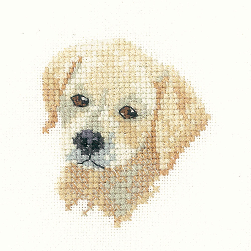 Little Friends Golden Labrador cross stitch kit - LFGL1037