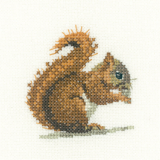 Little Friends Red Squirrel cross stitch kit - LFRS1149