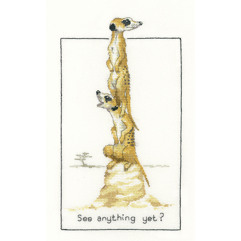 See Anything Yet? cross stitch chart pack - PUSA640C