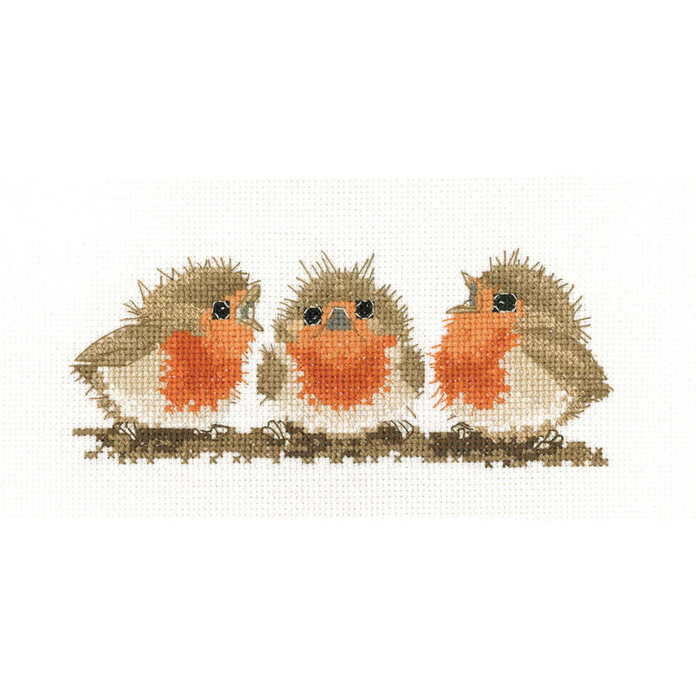 Ruffled Robins cross stitch kit - VPRR1661